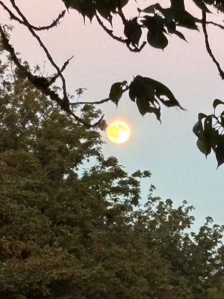 The moon