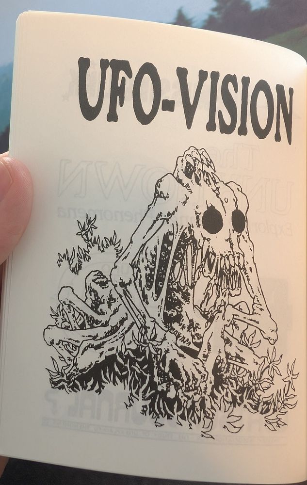 Photo of a book.

A grotesque alien with melting flesh and multiple mouths with sharp teeth is under the text "UFO-VISION"