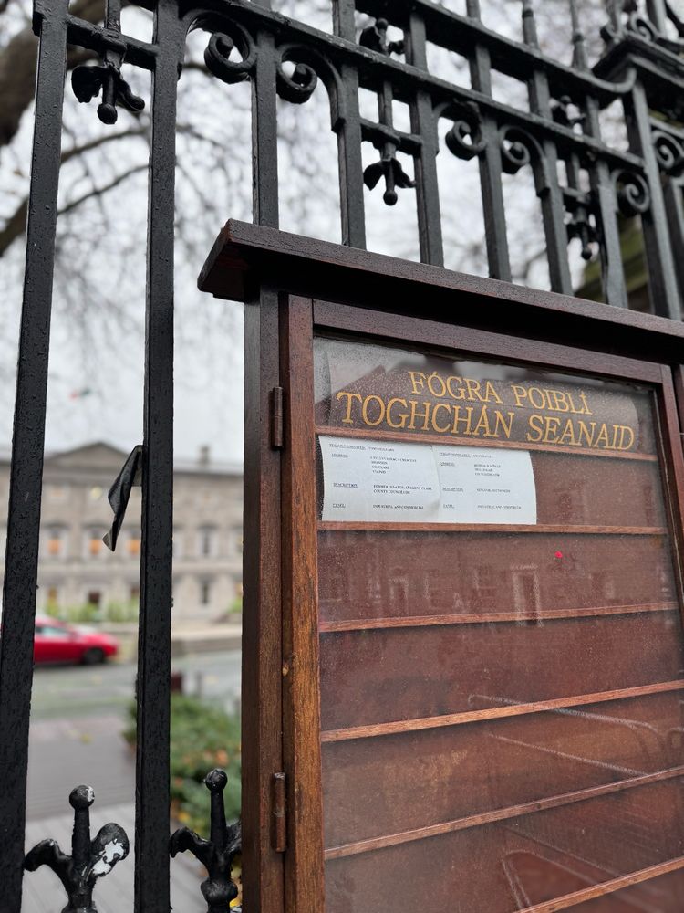 A photo of the noticeboard outside Leinster House displaying the candidates nominated to contest this year’s Seanad election.