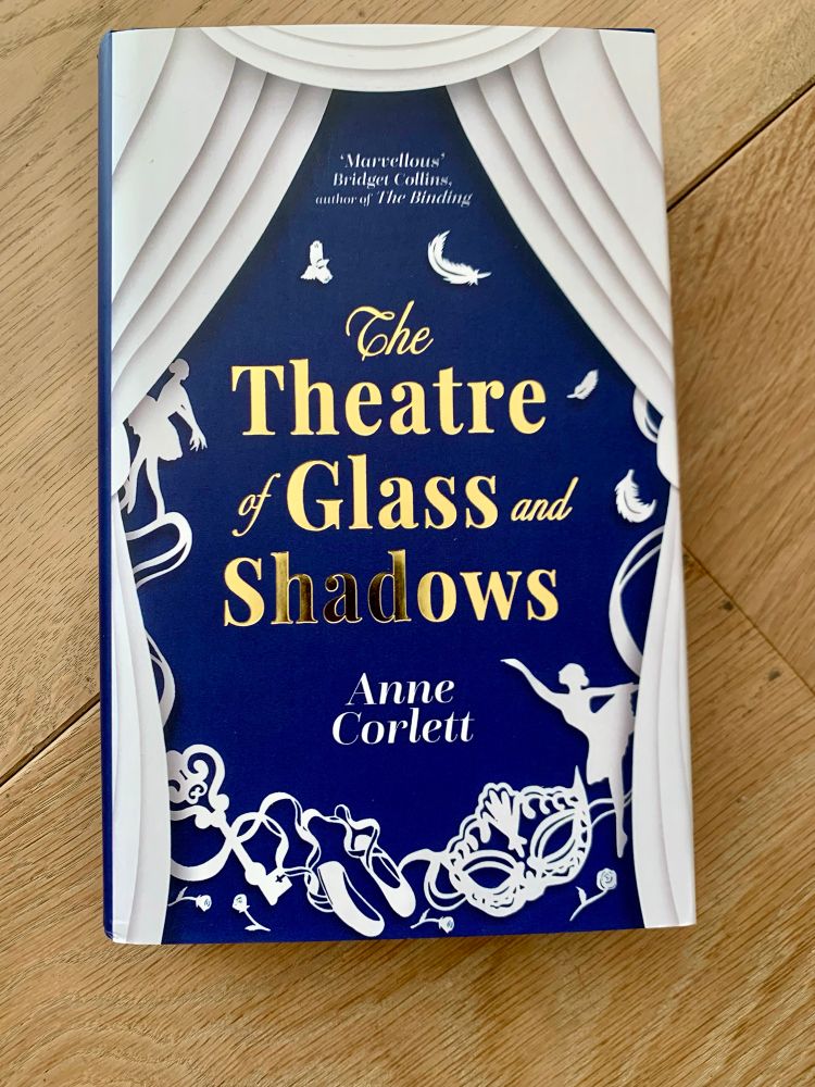 The Theatre of Glass and Shadows von Anne Corlett.
