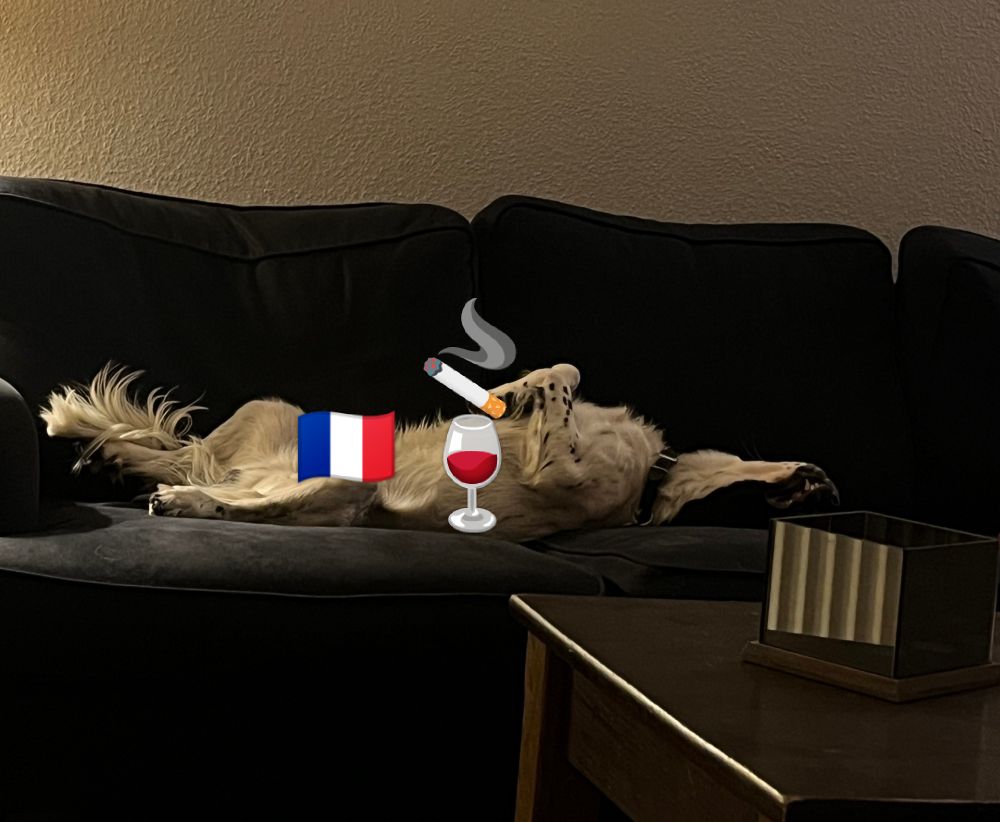 An edited photo of a dog asleep on its back on a sofa. It has a cigarette and a glass of red wine and the French flag is covering its private parts.