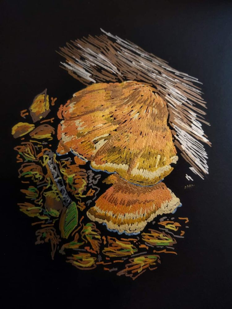 Sketch of chicken of the woods growing on a fallen tree with dead leaves below. Metallic watercolour pen on black paper.