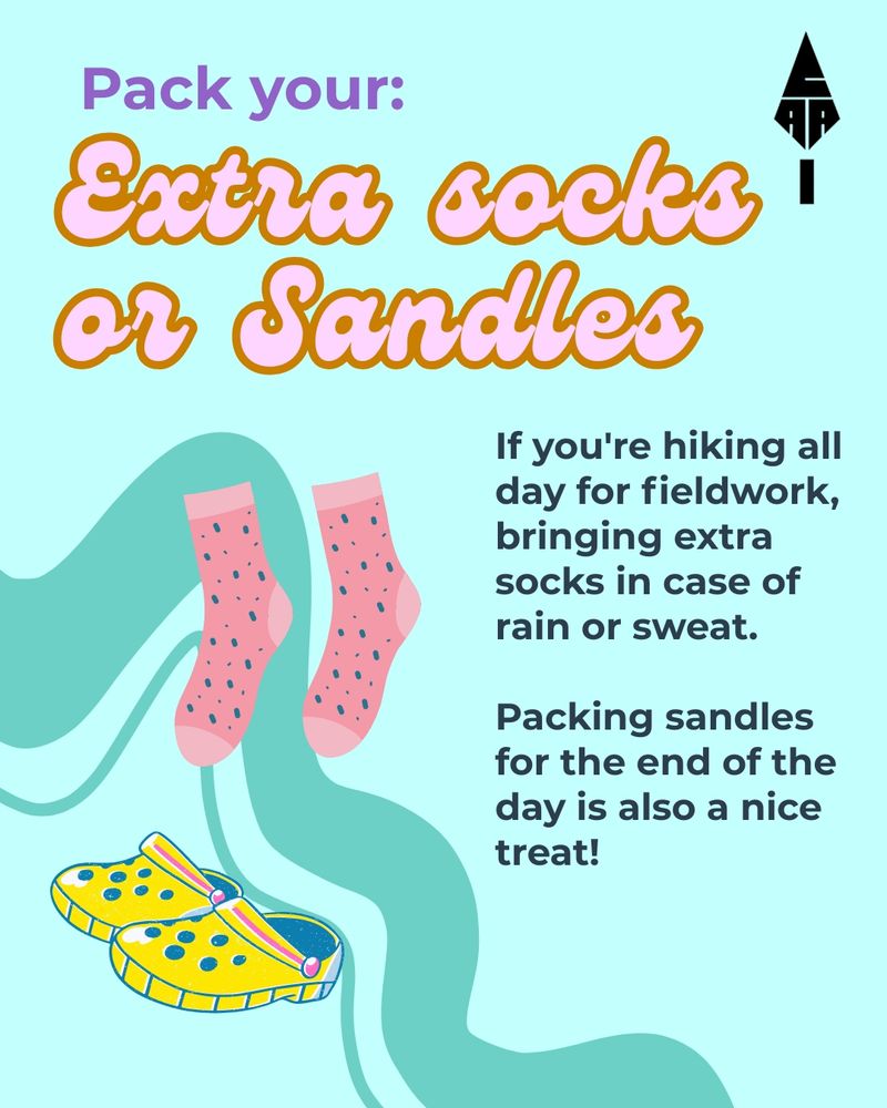 A teal background with text reading: 'pack your extra socks or sandles', over graphics of pink socks and yellow crocs