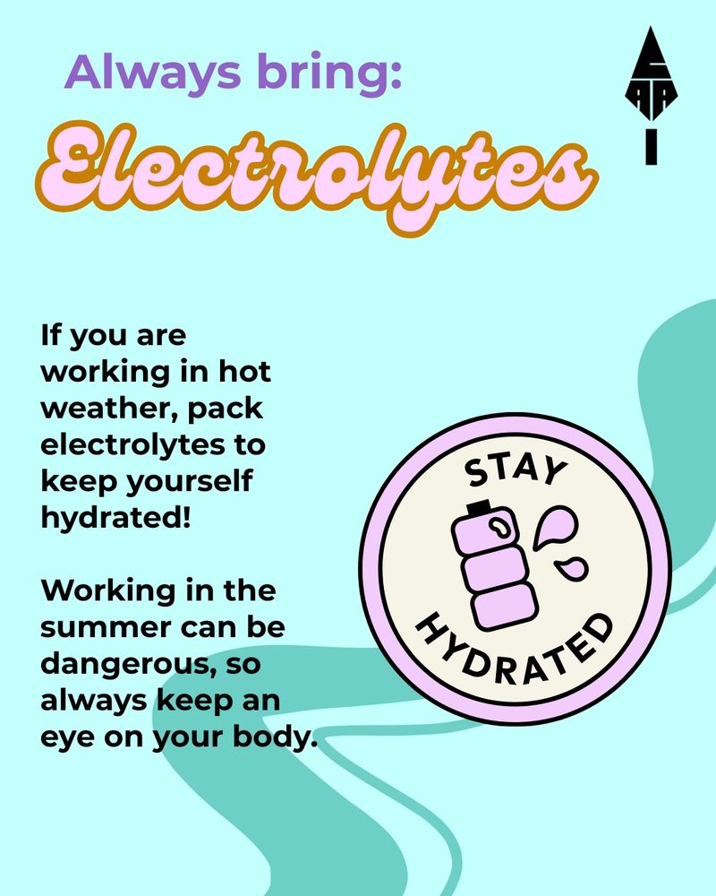 A teal background with text reads: Always bring electrolytes, with a little graphic of a pink water bottle saying 'stay hydrated'. 
