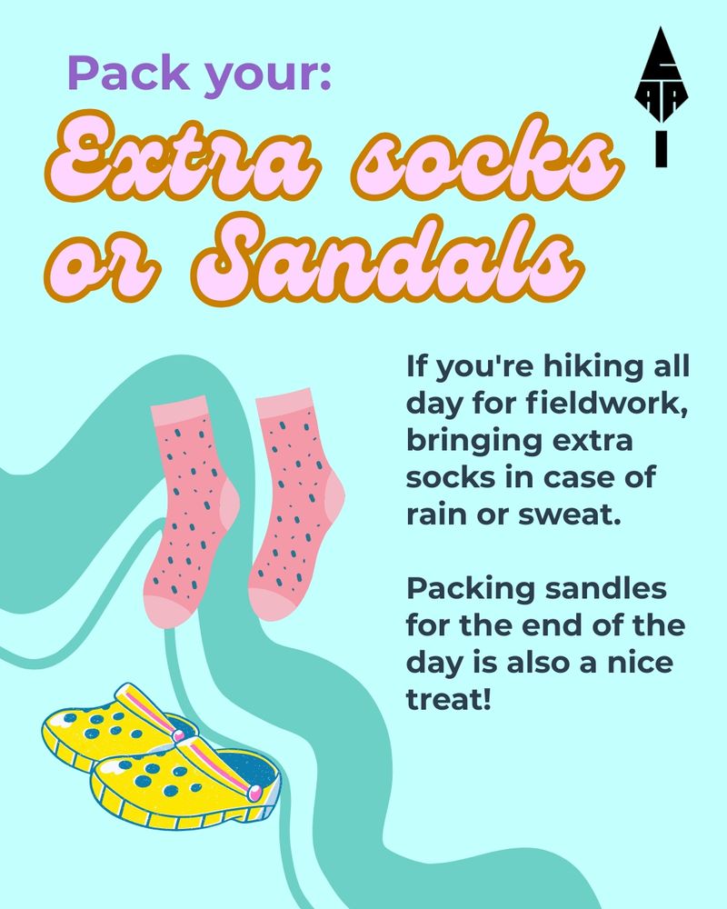 Same as picture above, except Sandals is spelled correctly. 