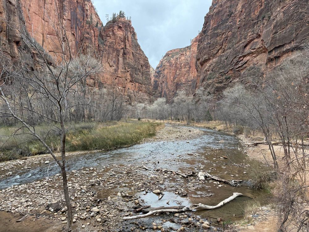 Photo of a rocky river with winter dead trees and sandstone cliffs in the background 