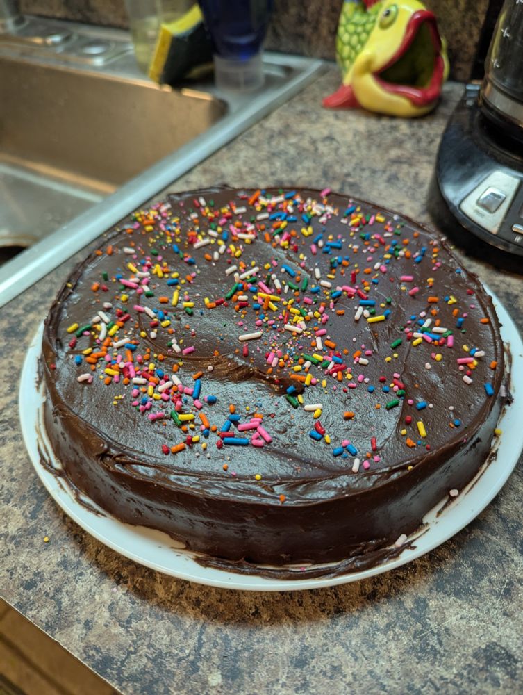 A photo of a chocolate -frosted cake with rainbow sprinkles, on a white plate resting on a brown-and-black laminate countertop.