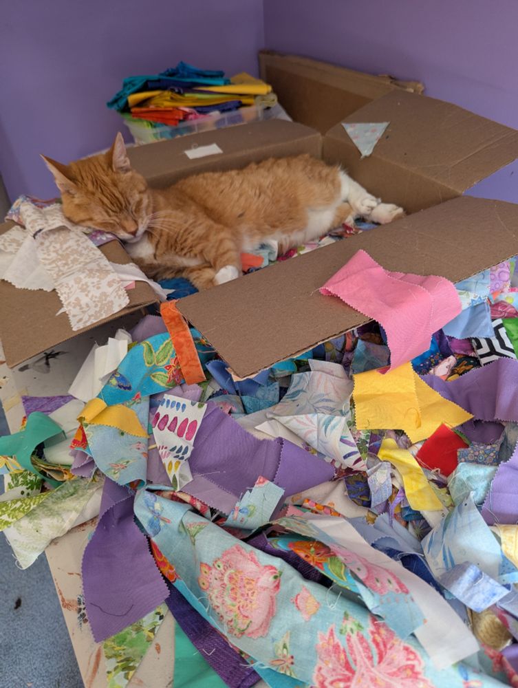 Eddie, an orange and white cat, is sleeping soundly in a cardboard box filled with brightly colored fabric scraps. The scraps are spilling out onto the table on which the box is resting.