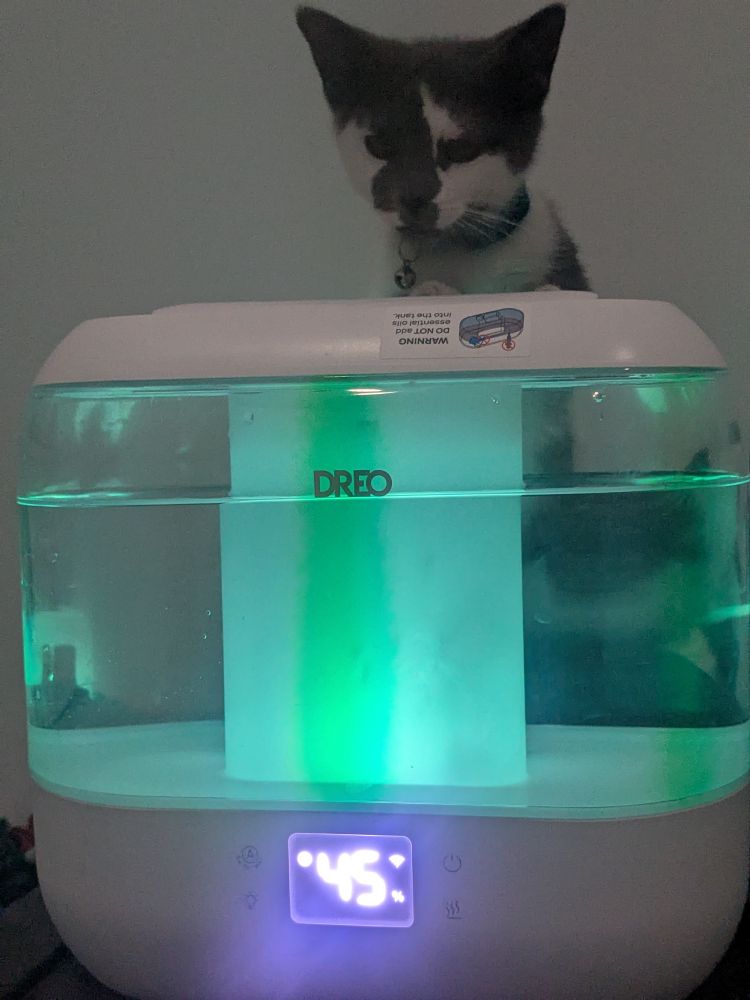 זיגי מדגמנת מאייד 