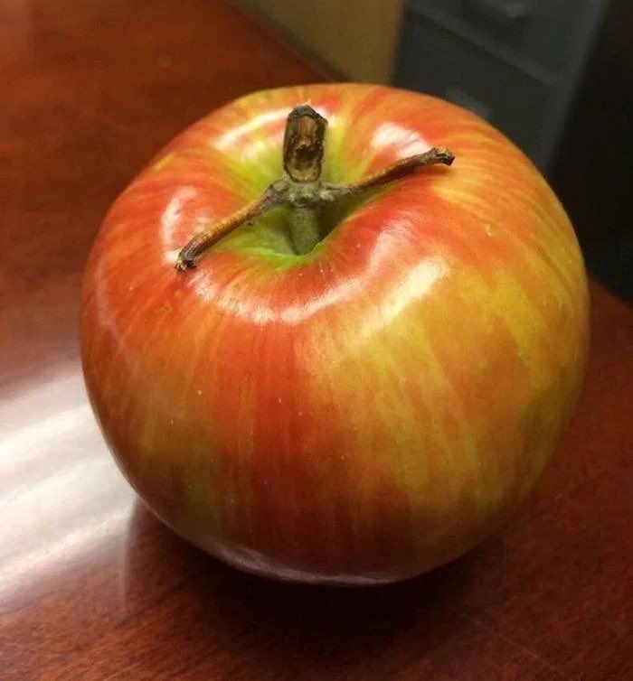 Apple stem looks like someone drowning.