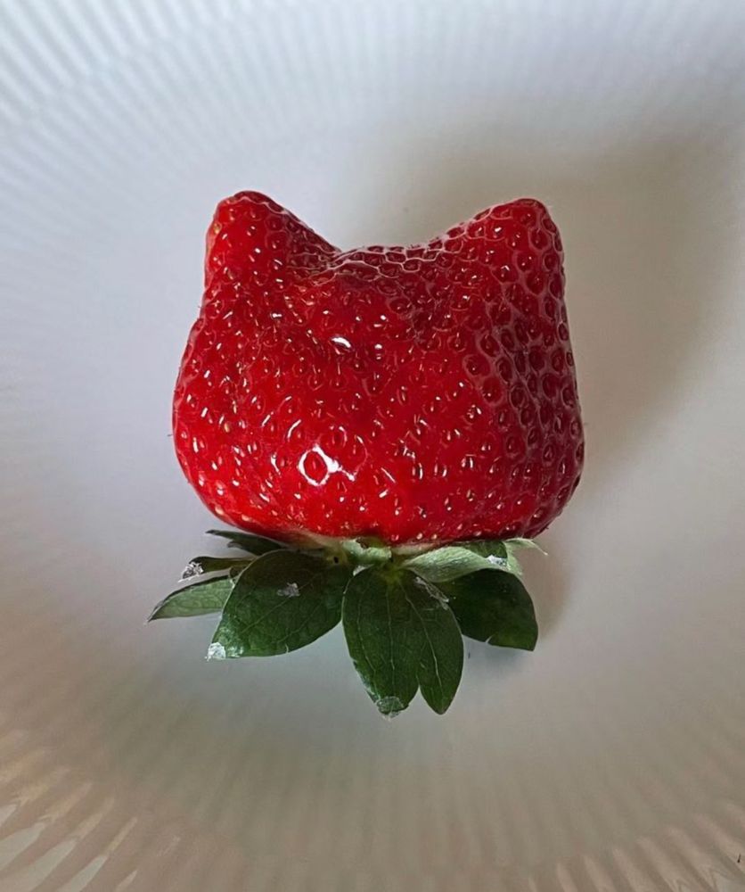 Strawberry that looks like a cat's face.