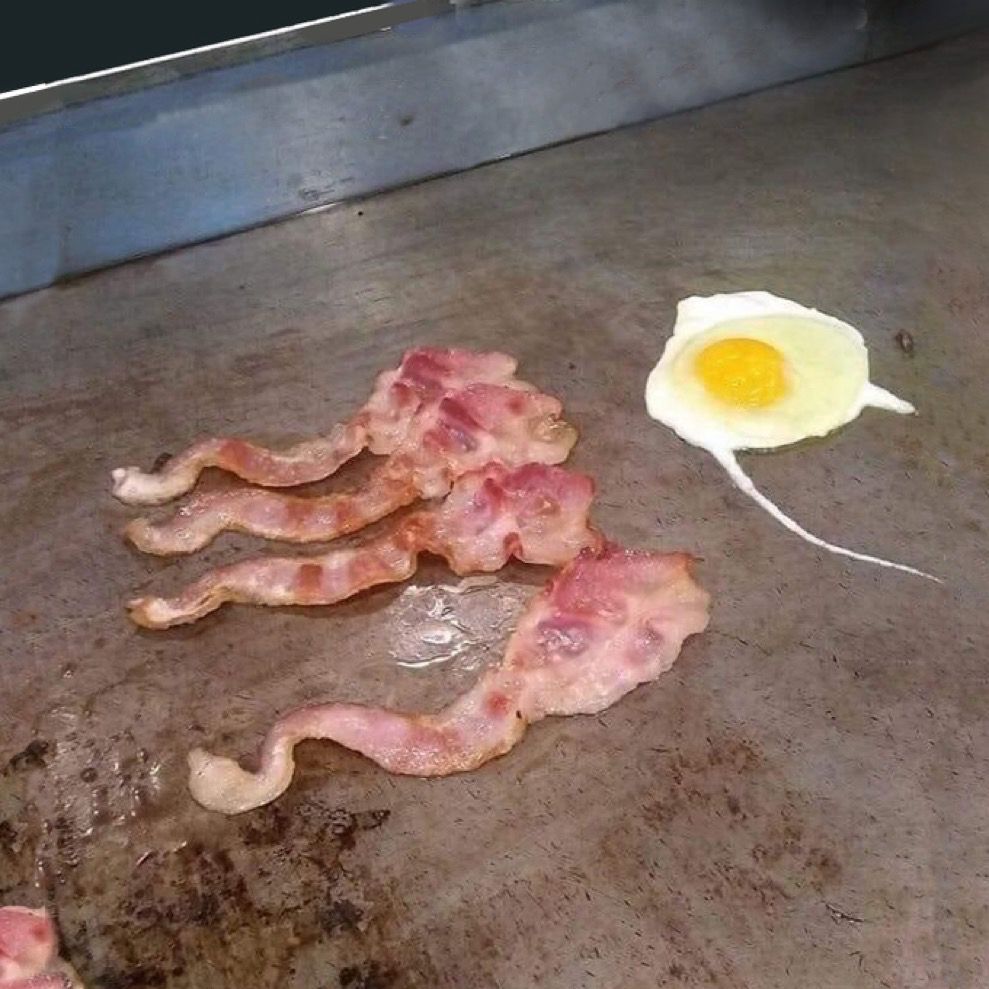 Pieces of bacon next to an egg. They look like spermatozoids.