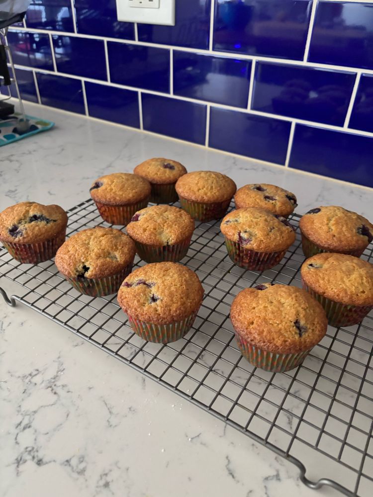 Leftover sourdough blueberry muffins for breakfast (and probably teenage snacking)