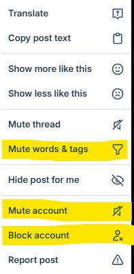 Screencap of the individual Bluesky message settings dropdown under the three dots, with three options highlighted: "Mute words & tags," "Mute account," and "Block account."