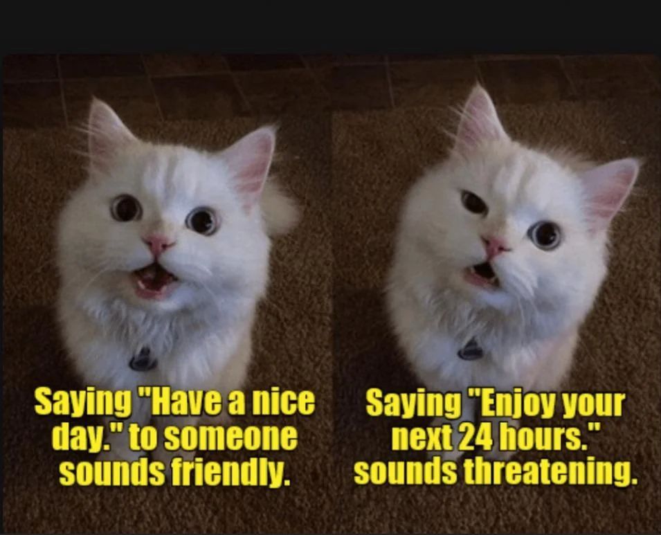 two panel meme. on the left a cheerful white cat is quoted thus: saying "have a nice day" to someone sounds friendly. on the right, the same cat looks faintly quizzical and is quoted thus: saying "enjoy your next 24 hours" sounds threatening.