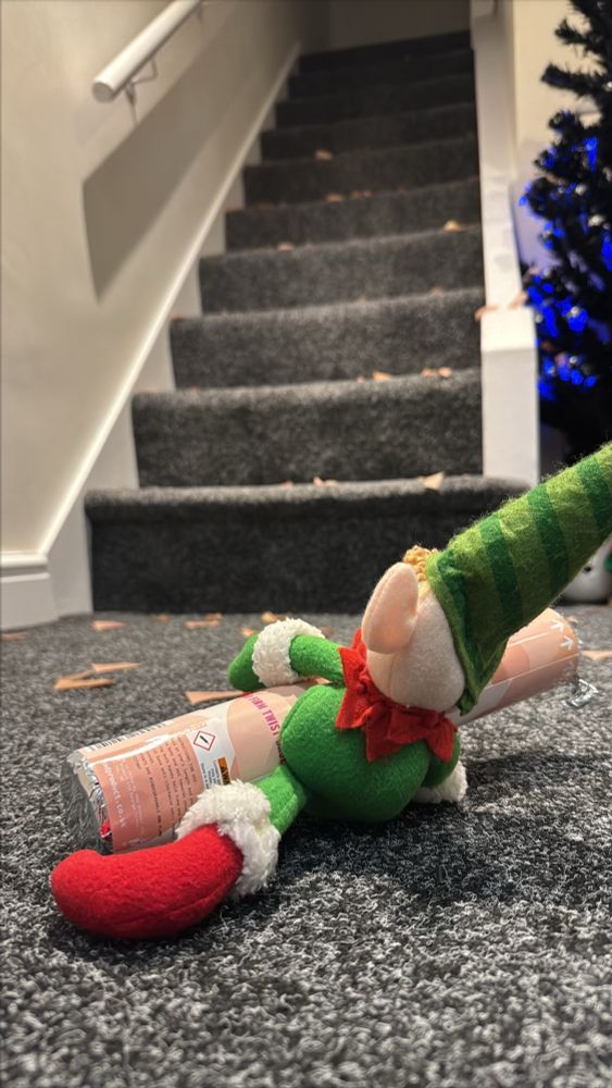 an inebriated stuffed Erica Elf who was properly a wine bottle decoration but I got to the shops too late for a proper Elf on the Shelf is sprawled at the bottom of the stairs, clinging onto a rose gold confetti cannon, which has detonated all the way up the stairs creating an ungodly mess. The Christmas season has arrived here. May the odds be ever in our favour.