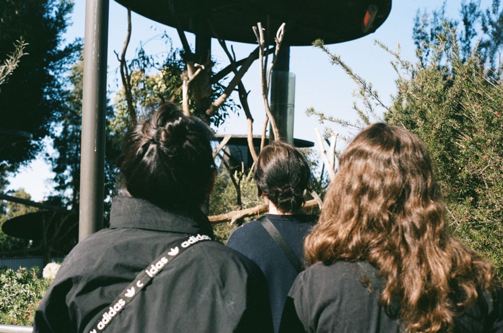 picture of me, jess, and vee; picture shows the backs of our heads as we all look at something