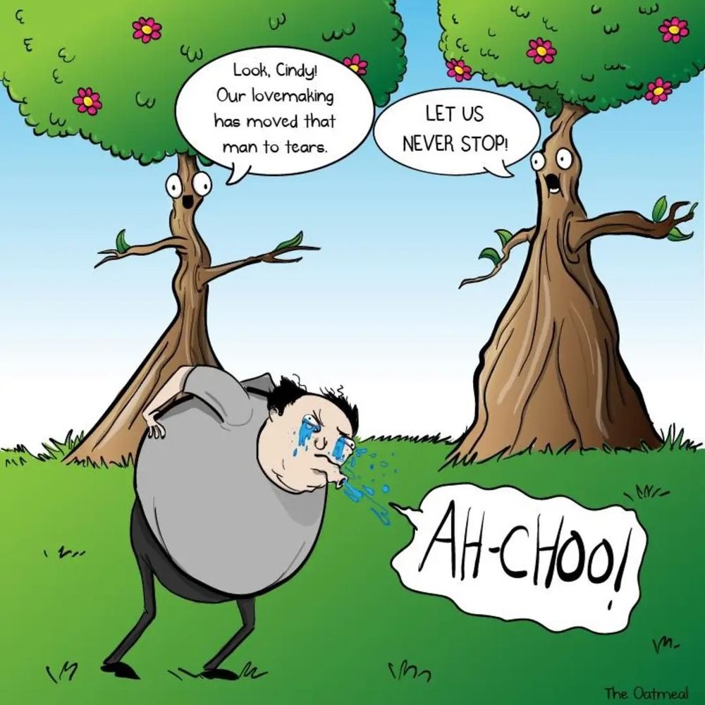 Comment image