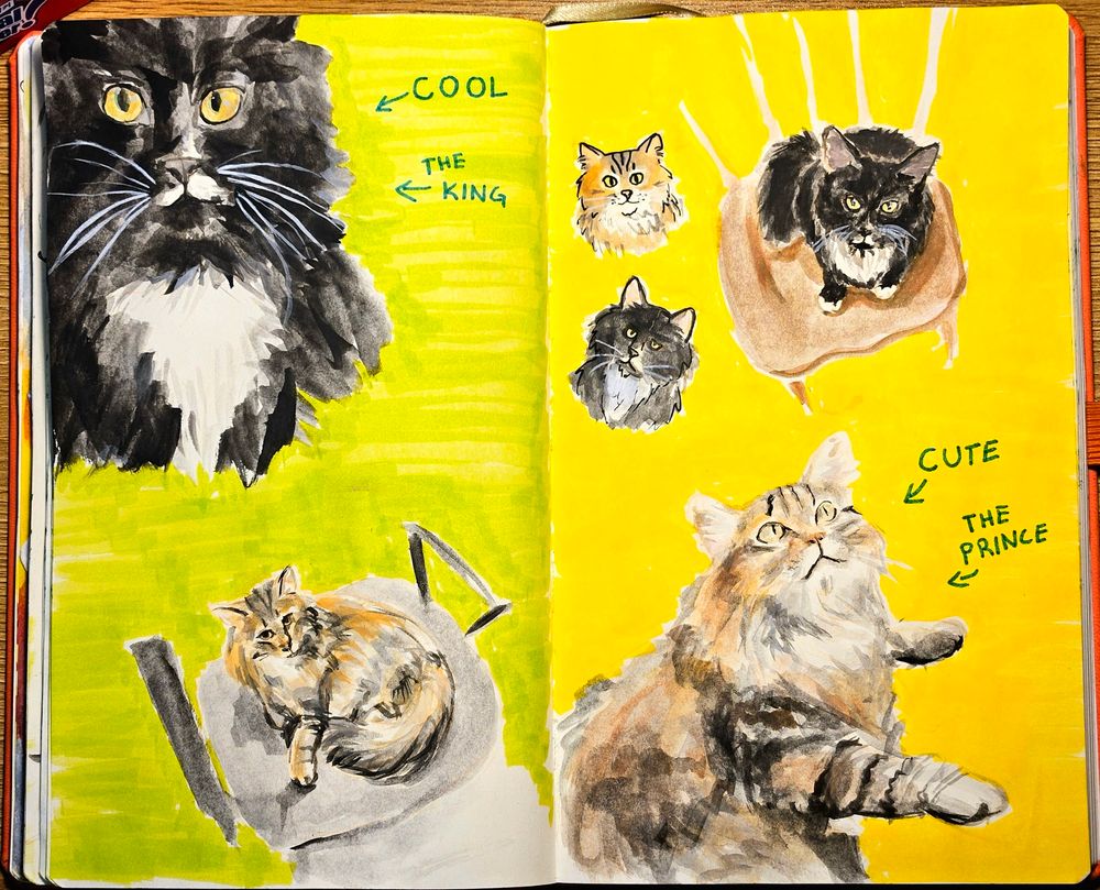 open sketchbook of watercolor paintings of two cats. one is a tabby and one is a tuxedo. they are both fluffy. pointing at the tuxedo cat it says "COOL" and "THE KING", and pointing at the tabby is "CUTE" and "THE PRINCE"
