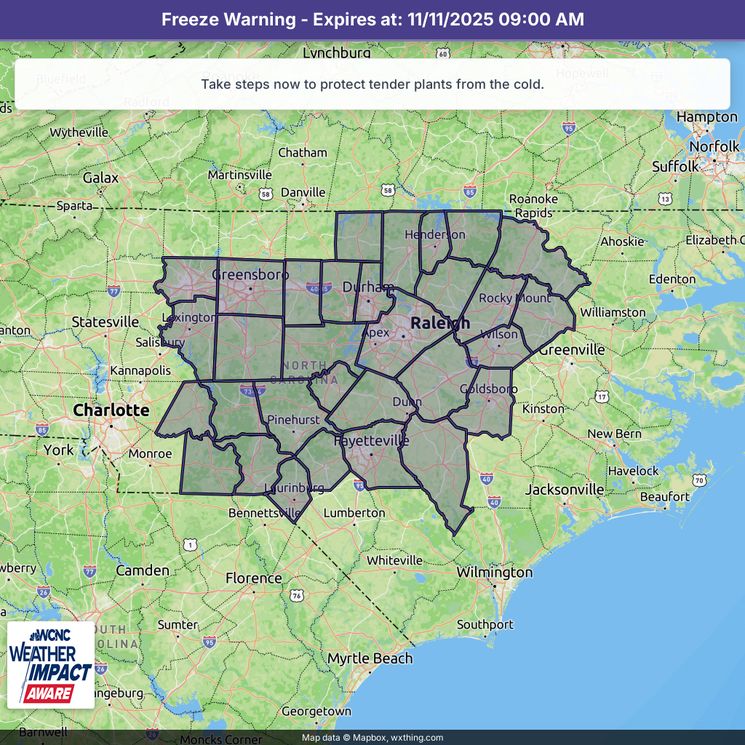 Image description here