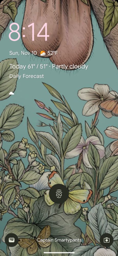 Lock screen, scrotum