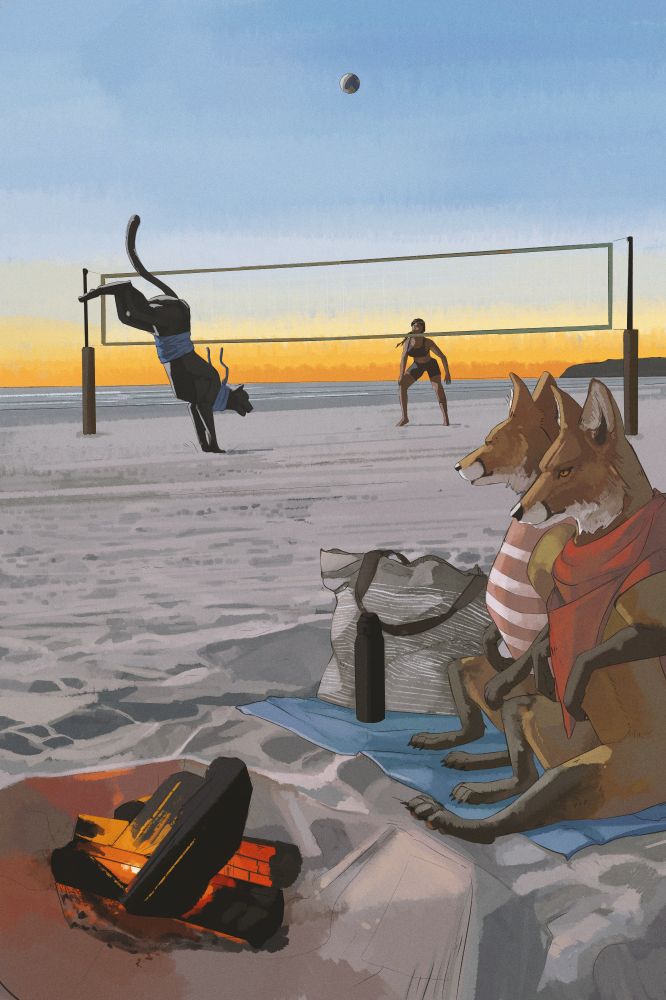 A beach scene during sun set. Two foxes sit on a towel facing a dim fire in the foreground. In the background is a woman and a black jaguar playing volley ball.