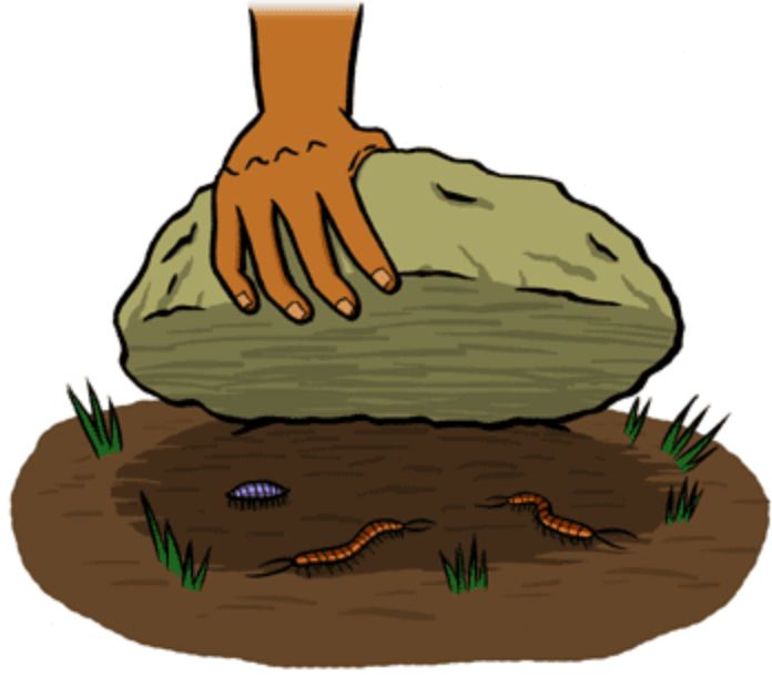Comment image