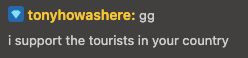 A chatbox from chess.com that says "gg I support the tourists in your country"