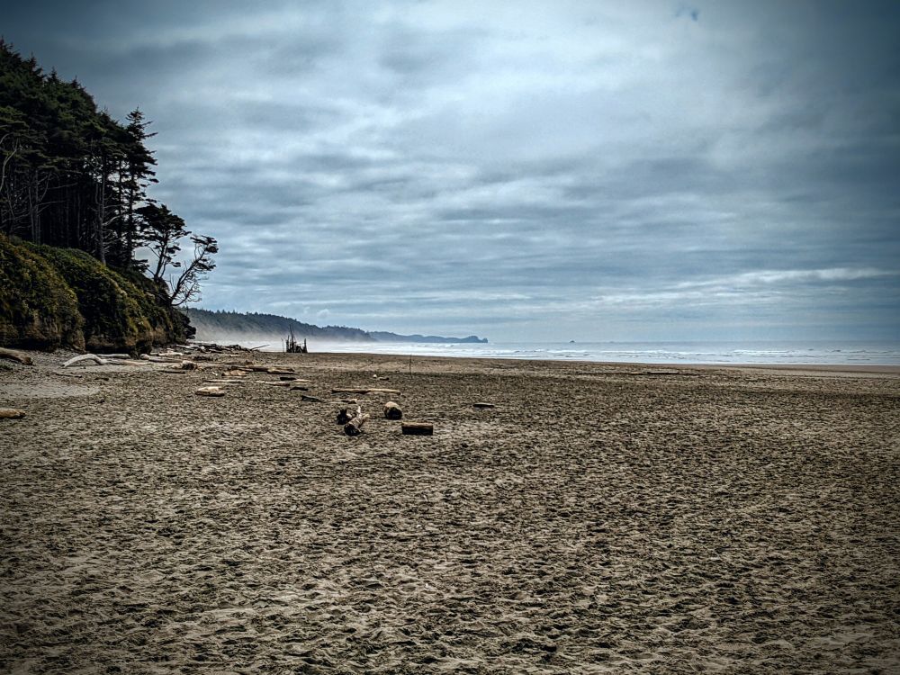 A beach in Washington with mist rolling across the shoreline in the distance and grey skies overhead
