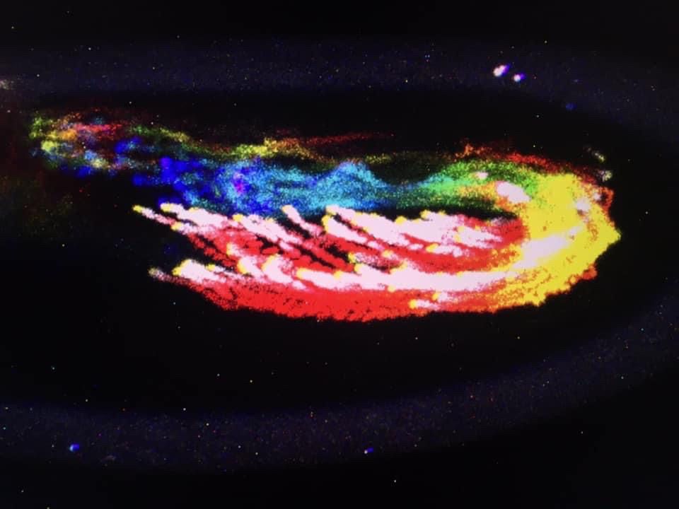 Lateral view of fruit fly embryo showing collective migration of longitudinal muscle cells. A timecourse of migration is mapped with rainbow colors, with most recent positions in white/red and oldest positions in blue/purple.