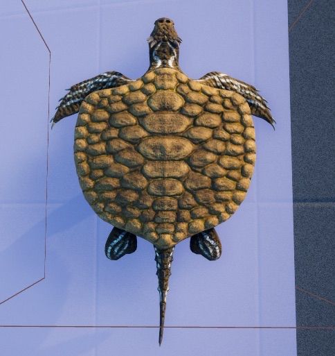 Henodus after a slight model upscale to improve the textures on its body and shell