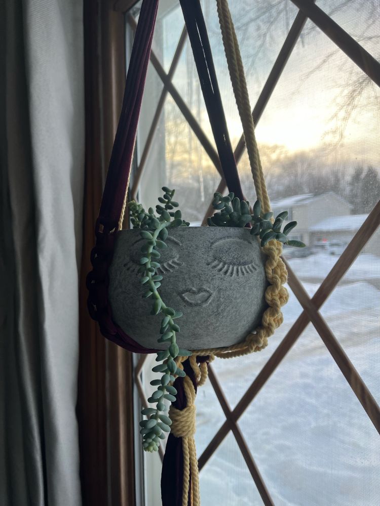 A burro plant in a hanging pot. The burro plant is a succulent that gets long tendrils of plump leaves; this plant has been put into a pot that has a face depicted with long eyelashes and lips on it, making the burro plant itself look like a funky hairstyle on a fashionable lady!