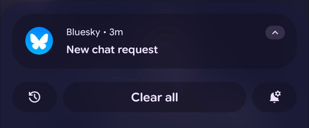 An android notification from 3 minutes ago from my Bluesky app telling me I have a new chat request.