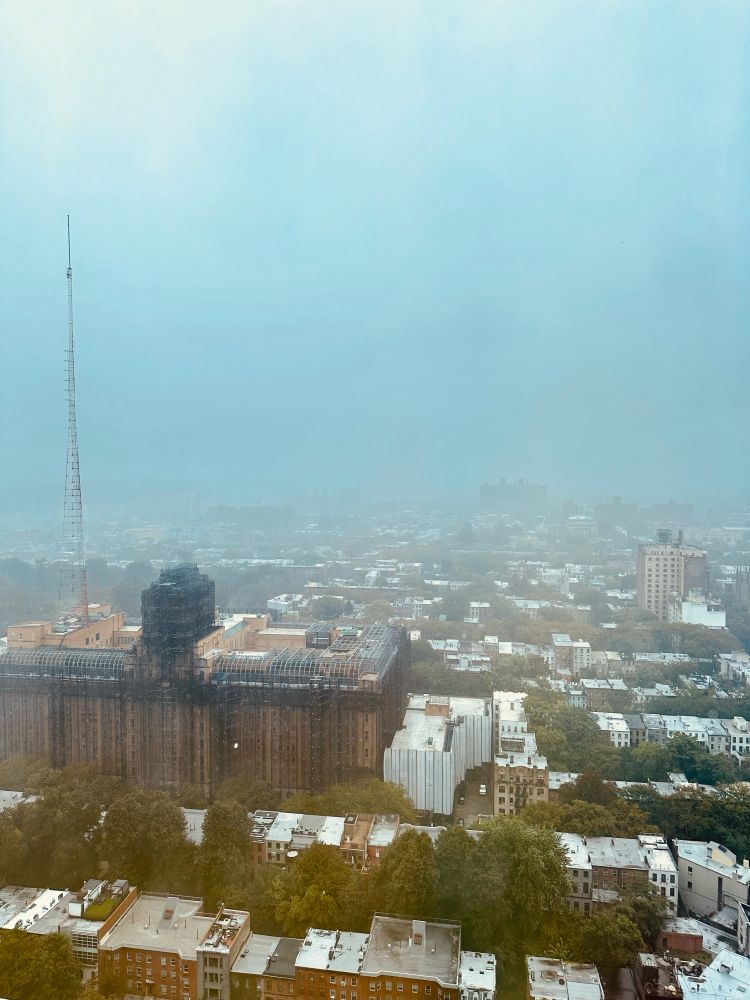 very pleasant view of a rainy Brooklyn facing east