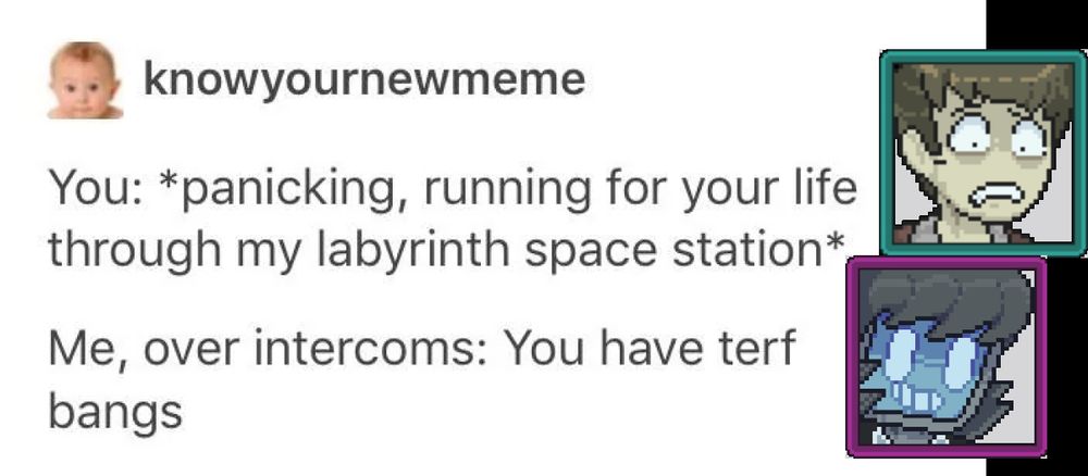 you: *panicking, running for your life through my labyrinth space station*
me, over intercooms: you have terf bangs
(images of alex asboth and nash from dashbored are edited in.)