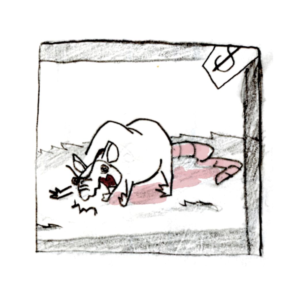 An ugly rat is screaming.