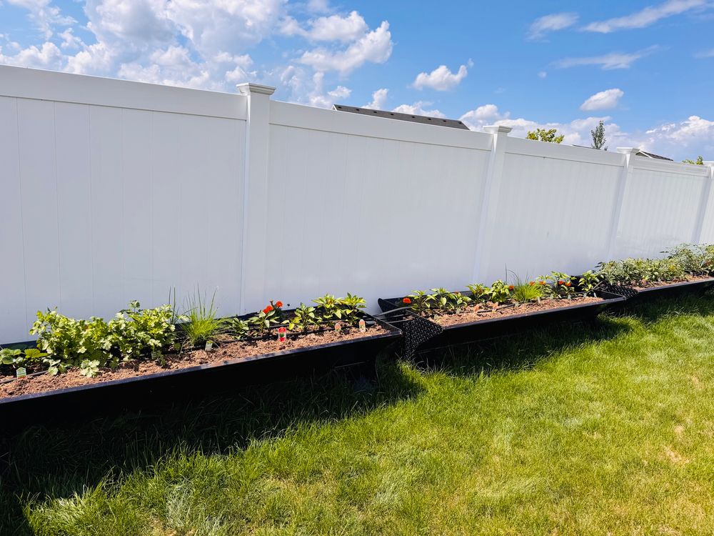 Growing veggies