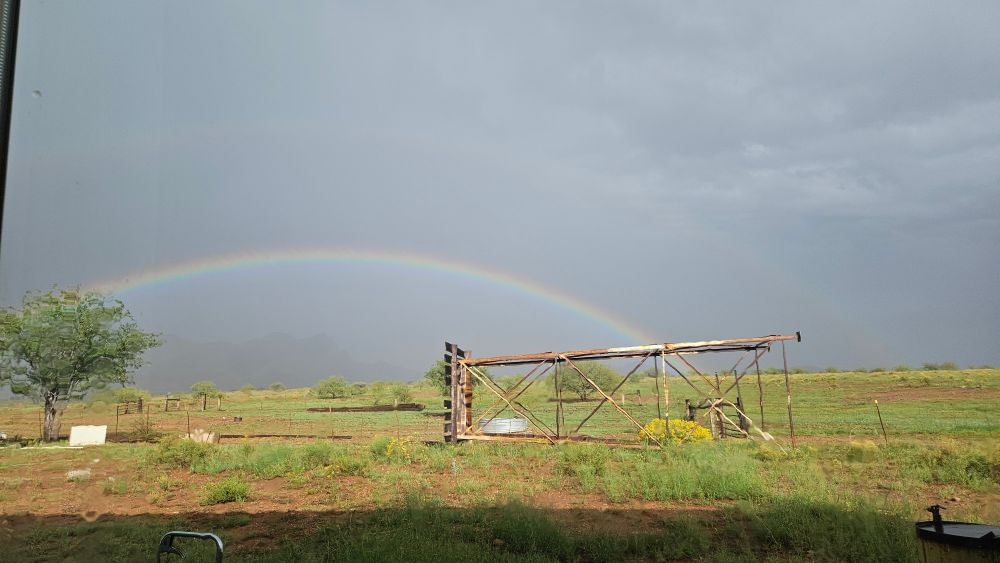Red earth with greenery emerging, stormy clouds and a rainbow in the sunshine. A mesquite tree and a fallen water tower obscuring a cattle troff.