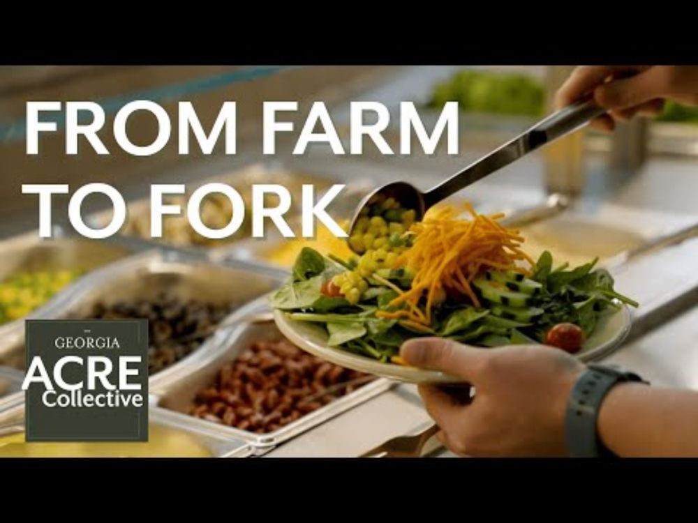 From Farm to Fork: Reimagining How Local Food Reaches Our Plates