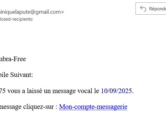 Un spam qui dit que j'ai reçu un message et qu'il faut que je clique envoyé par un compte dont le nom finit par "niquelapute@gmail.com"