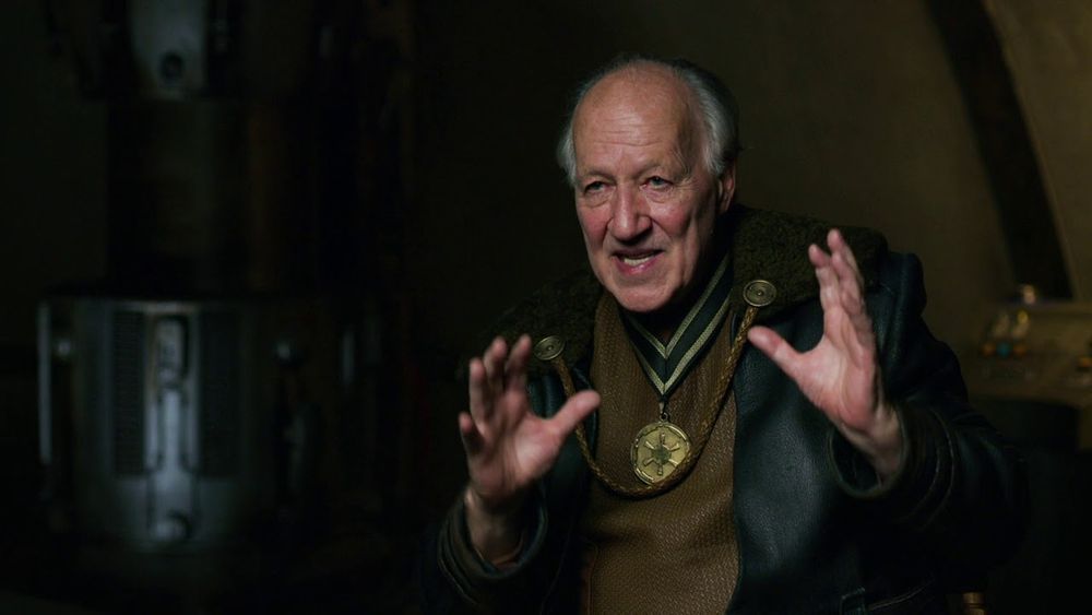 Werner Herzog, an old white guy, wearing a set of robes with a giant medal around his neck. He's gesturing wildly with his hands.