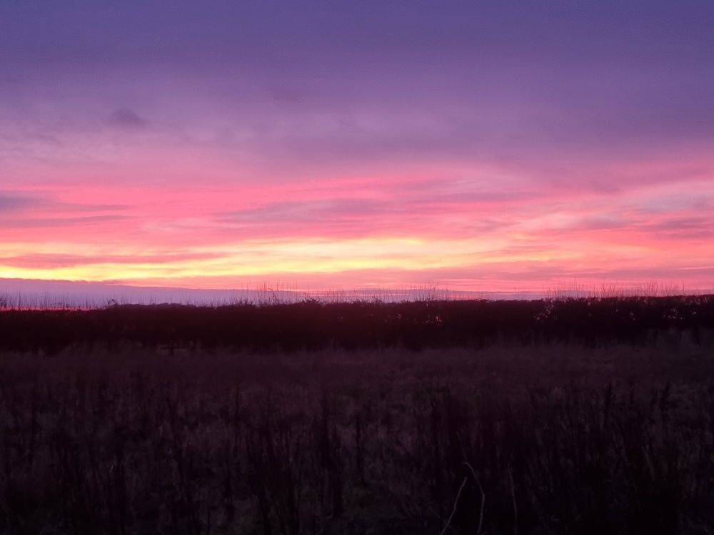 Photo showing the light beginning to fade on Christmas Eve afternoon