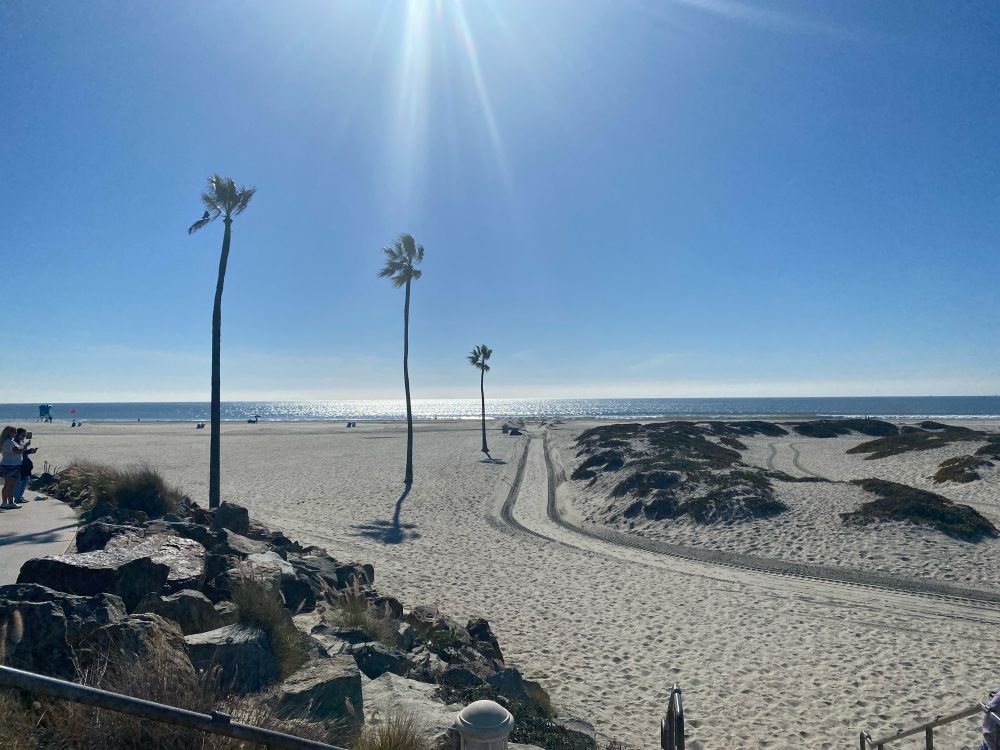 The beach in San Diego