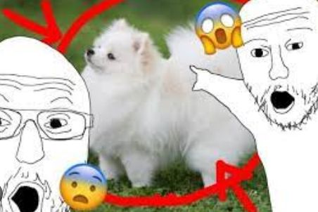 Comment image