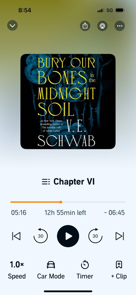 Bury Our Bones in the Midnight Soil by VE Schwab