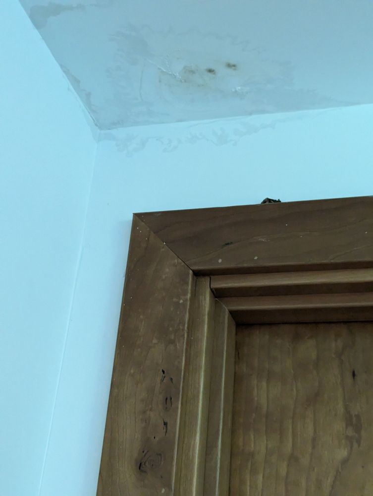 A picture of an office door. In the top corner is a damp patch with mold and possibly something growing on top of the door