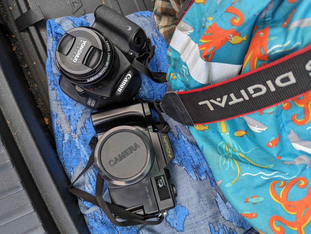 Two black cameras, one my faithful Canon, the other the look alike terrible knock off