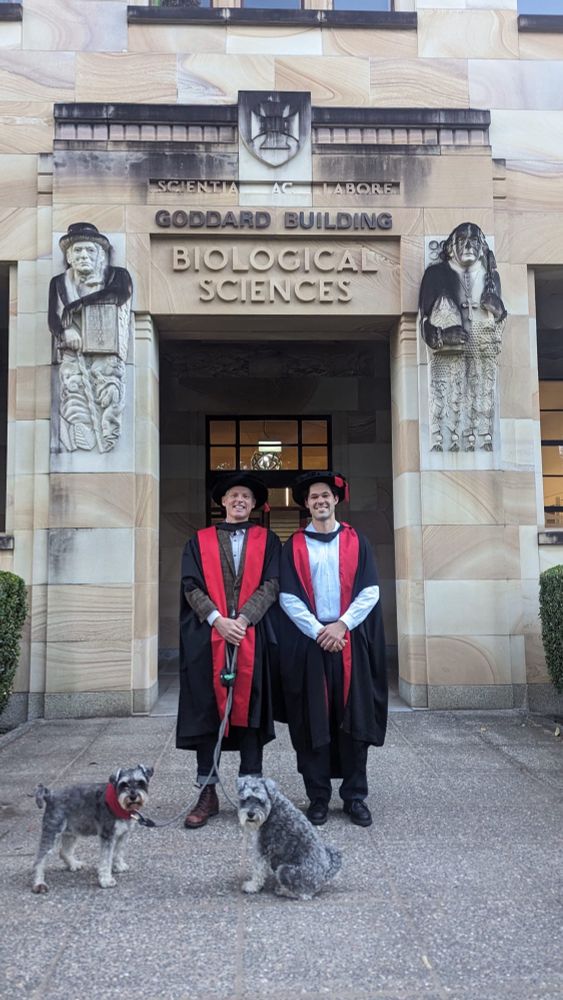 Two blokes dressed in gowns and ceremonial hats with two miniature schnauzers in front of the Goddard building at the University of Queensland, St Lucia campus.