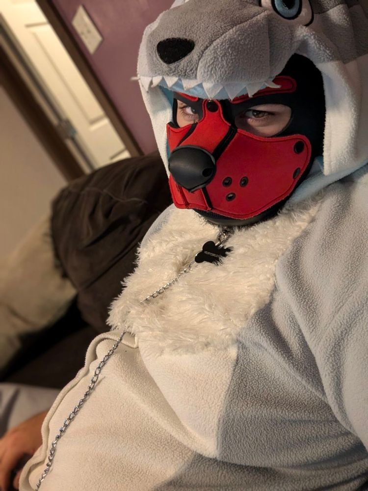 Man in kigurumi and Pup hood sitting on a couch looking into the camera