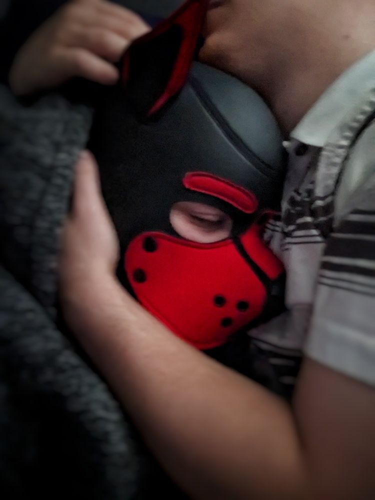 Man in pup hood being embraced by handler